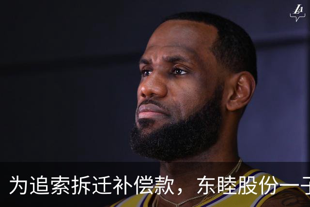 为追索拆迁补偿款，东睦股份一子公司起诉地方政府，自述被拖欠3120万元