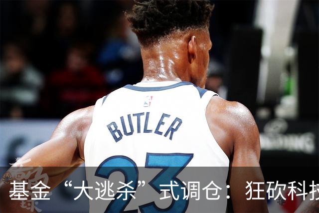 基金“大逃杀”式调仓：狂砍科技仓位！