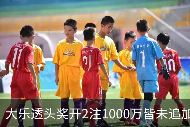 大乐透头奖开2注1000万皆未追加 奖池余额7.96亿