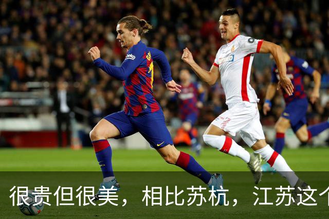 很贵但很美，相比苏杭，江苏这个“慢”景点，四季来逛都舒服