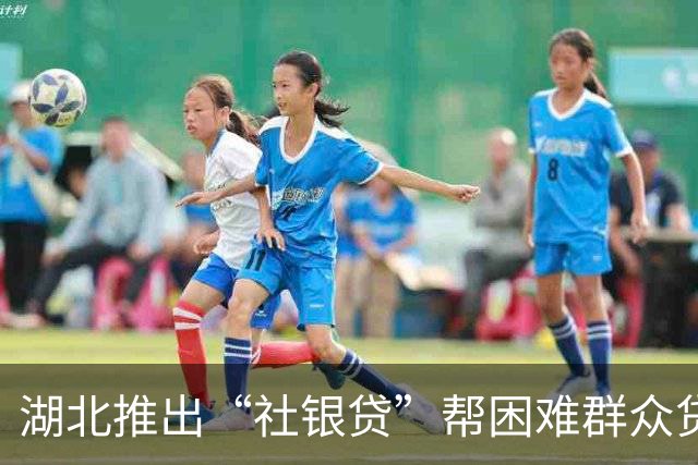 湖北推出“社银贷”帮困难群众贷款交社保