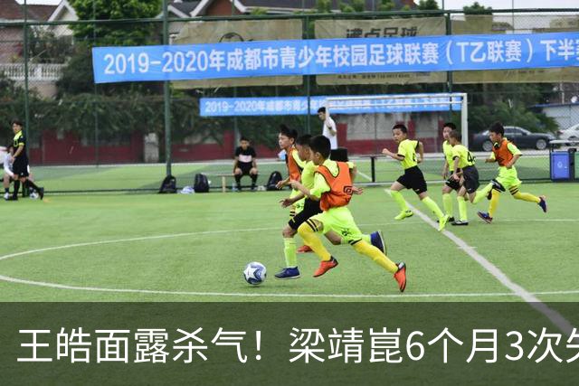 王皓面露杀气！梁靖崑6个月3次失2追3：张本智和瘫坐 高茨捂脸哭泣