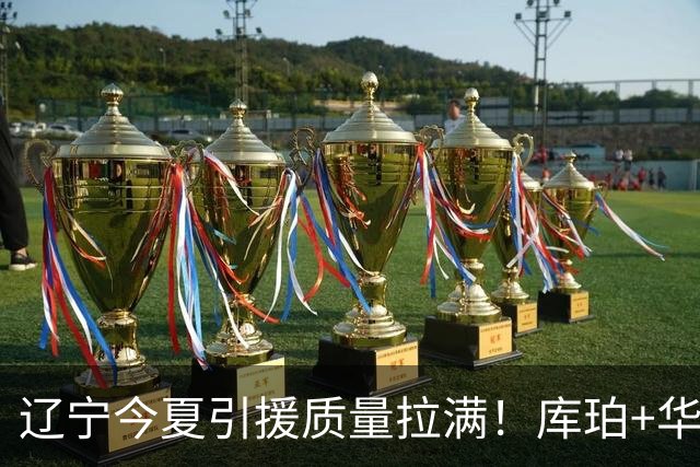 辽宁今夏引援质量拉满！库珀+华子场均42分，克里斯也能稳内线！
