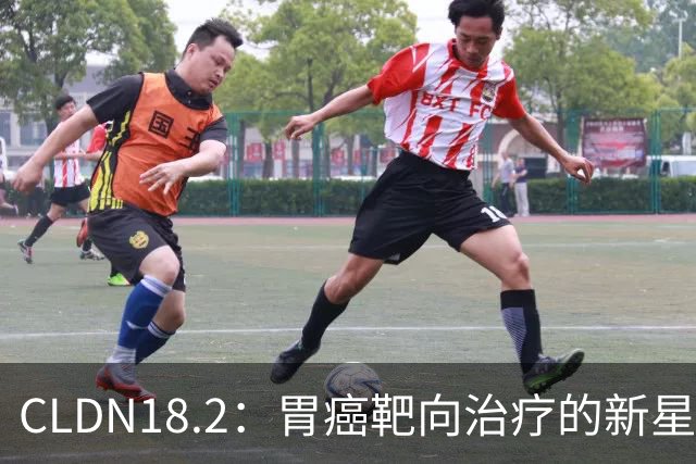 CLDN18.2：胃癌靶向治疗的新星——从生物学基础到临床转化